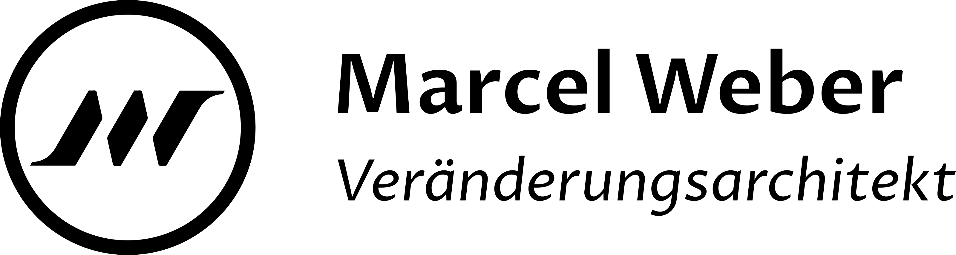 Marcel Weber — Veränderungsarchitekt
